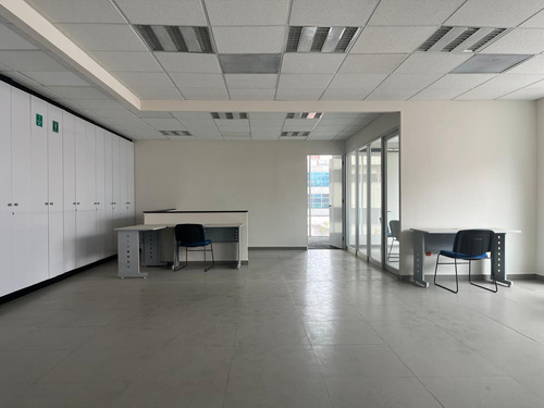 Oficina En Renta- Hamburgo - Piso 5 - 185m2
