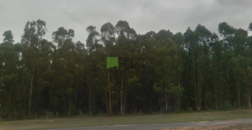 Imagen 4 de 11 de Buena Fracción Con Arroyo Sobre Ruta 9