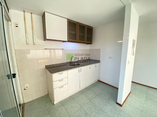 Apartamento De 2 Dormitorios En Alquiler En San Carlos