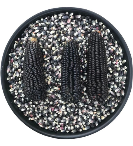 Paquete De Maíz Criollo Oaxaqueño. Listos Para Cocinar