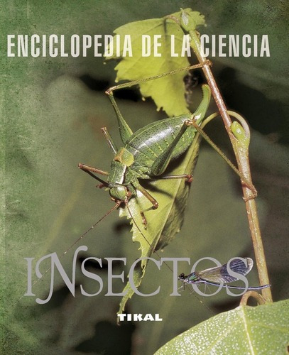 Insectos - Enciclopedia De La Ciencia - Distal