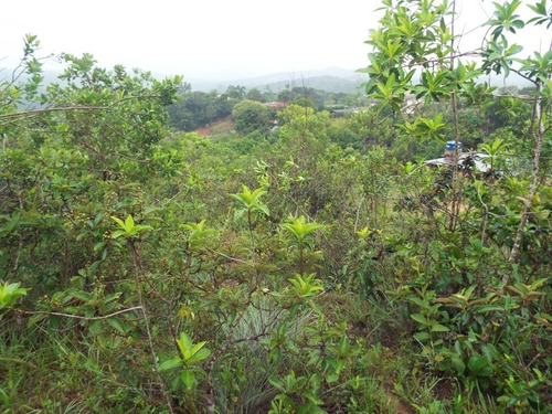 Lote Para Comprar No Pinhões Em Santa Luzia/mg - 3312