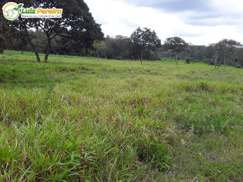 Imagem 7 de 15 de Fazenda Á Venda Em Recursolândia - Ms - 1.132 Hectares (pecuária) - 2188
