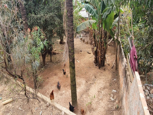 Imagem 6 de 27 de Casa 3 Quartos No Bairro Jardim Guanabara - Ca00334 - 69922989
