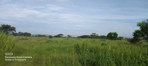 Lotes De Terrenos.  Las Vegas  Palo Negro. Maracay