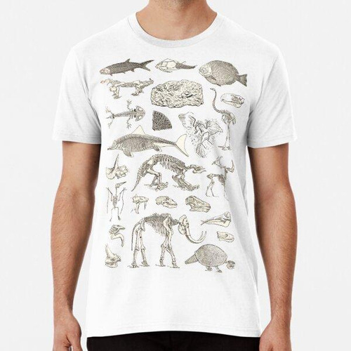 Remera Ilustración De Paleontología Algodon Premium