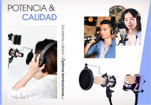 Soporte Microfono Brazo Con Base Y Filtro Pop Celular Ganso