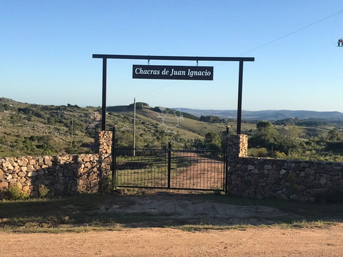 Imagen 10 de 10 de Chacras De 5 Y 7 Has En Zanja Del Tigre - Entrega Y Cuotas - Consulte!!!!!!!! - Zona Rural Zona Rural