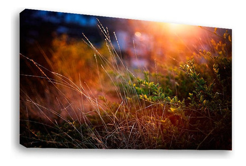 Cuadro Decorativo Canvas Moderno Naturaleza Atardecer Color Natural Armazón Natural