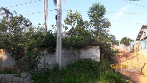 Imagem 4 de 7 de Chácara Para Venda Em Cajamar, Ponunduva - 19704_1-1425256