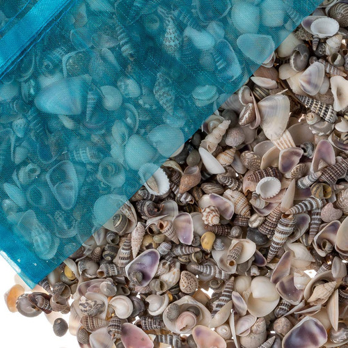 Tiny Miniatura Jardin De Hadas Mar Shell Assorted Mix |1 lib