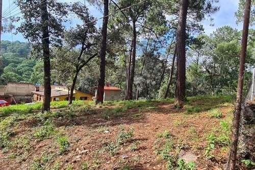 Imagen 5 de 5 de Terreno En Venta, Semiplano Excelente Para Casa De Descanso.