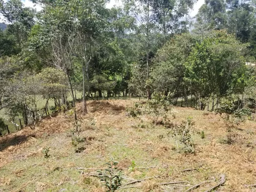 Lote En Venta En Paraje Cabeceras. Cod V12135