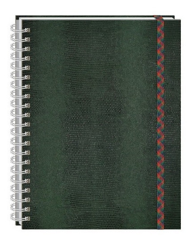 Cuaderno Profesional Vinipiel Tipo Cobra 100 Hjs Pasta Dura 