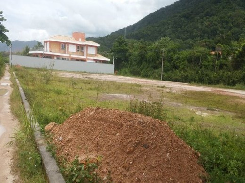 Imagem 5 de 5 de Terreno - Lagoinha - 2062