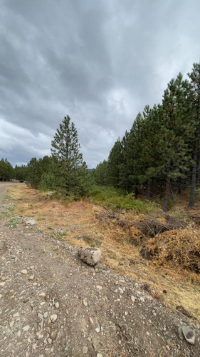 Lote En Venta En San Martín De Los Andes