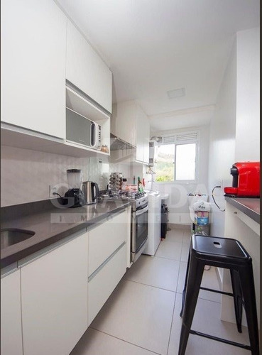 Apartamento - Jardim Carvalho - Ref: 204552 - V-204664