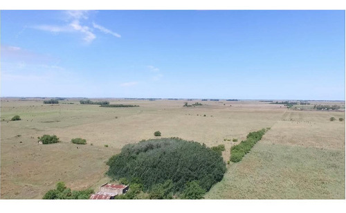 Imagen 6 de 16 de Campo Mixto De 280 Has En Venta Con Inmejorable Acceso Sobre Asfalto En Ranchos - Oportunidad !