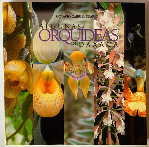 Libro Algunas Orquídeas De Oaxaca