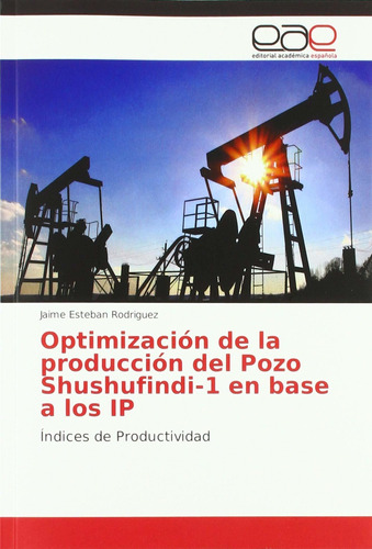 Libro Optimización De La Producción Del Pozo Shushufi Lcm6