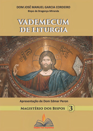 Vademecum de liturgia, de Cordeiro, Jose Manuel. Magistérios dos Bispos (3), vol. 3. Editorial FONS SAPIENTIAE, capa mole em português, 2015