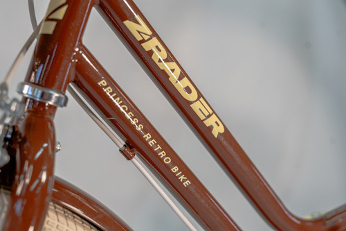 Bicicleta Infantil Feminina Clássica Retrô Aro 20 Z-rader Marrom 20