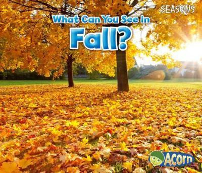 What Can You See In Fall? - Sian Smith