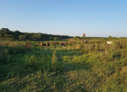 Campo Ganadero En Carcaraña. Con Quincho Y Casa
