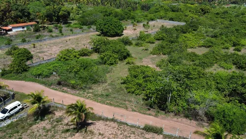 Lote 19×114