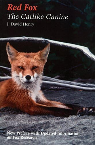 Libro: Red Fox: The Catlike Canine (smithsonian Nature Book)