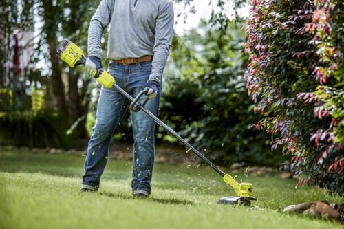 Desbrozadora Ryobi Inal. 18v S/carbones, Incl Bat Y Car Color Verde lima