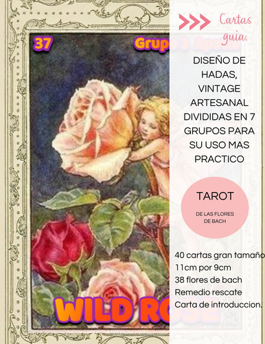  Cartas Guía O Tarot De Flores De Bach ( Tamaño Jumbo)