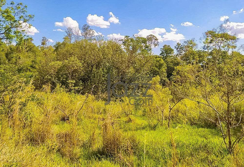 Chácara À Venda, 20000 M² Por - Bosques De Notre Dame - Campinas/sp - Ch0550