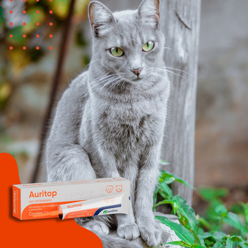 Kit 2 Auritop Gel Otológico Ouvido Cães E Gatos 15g Ourofino