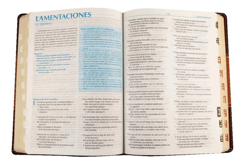 Biblia De Estudio Para La Predicación Índice Marrón Rvr 60