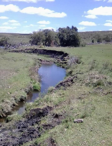 Lindo Campito En Venta