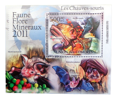 Comores Fauna, Bloque 1 Sello Murciélagos 2011 Mint L9348