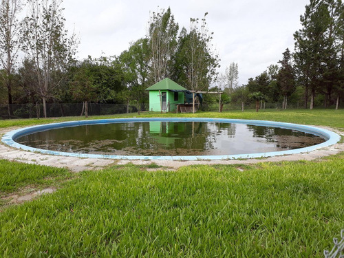 Imagen 12 de 14 de Campo En Venta (camping Del Arroyo ) - Colon