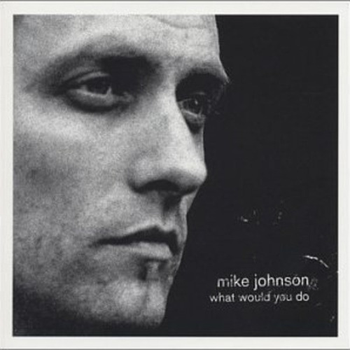 Cd Mike Johnson / What Would You Do (2002) Usa 