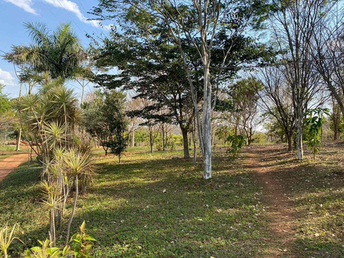 Imagem 18 de 30 de Sítio 20 Alqueires, Casa Sede Com 2 Dormitórios, 1 Suíte Com Banheira, Escritório, Casa De Caseiro, Área De Lazer Completa, Árvores Frutíferas - St00169 - 70653265