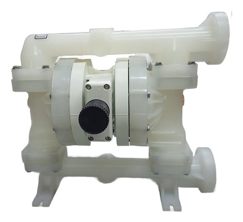 Bomba De Diafragma Wilden P200/pkppp/tnu/tf/ptv