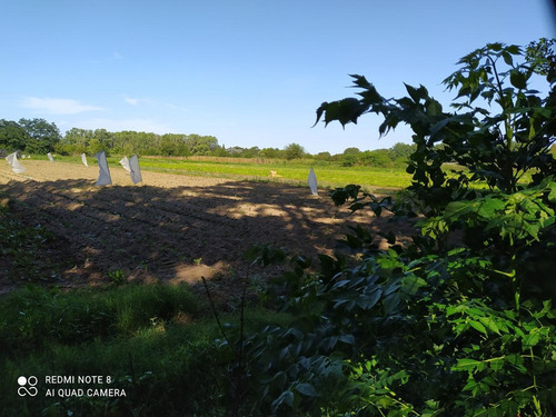 Imagen 5 de 6 de Campo - Escobar