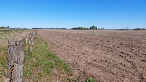 Vendo Muy Buen Campo Mixto En Saladillo