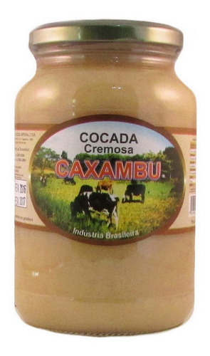 Doce Cocada Cremosa Artesanal De Minas Receita Caseira 680g