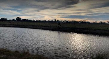 Imagen 15 de 17 de Terreno Barrio Privado Campo Cañuelas Park - Maximo Paz