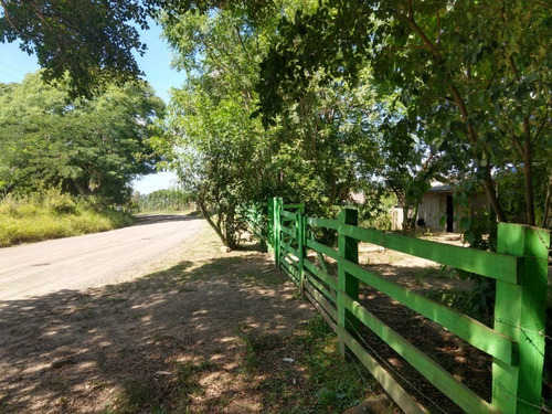 Chácara 10.000 M² - Maracanã - Glorinha - Rs - 2015 - 33422751