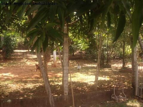 Imagem 13 de 26 de Chácara À Venda Em Chácara São Marcelo - Ch087215