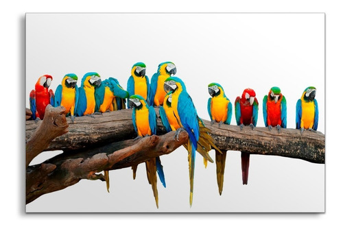 Cuadro Decorativo Moderno Aves Grupo Jd-0147 G