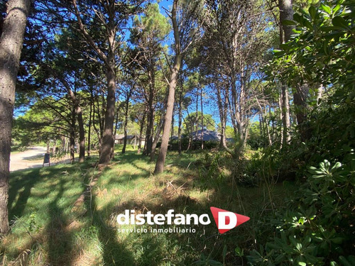 Terreno En Venta En Uade