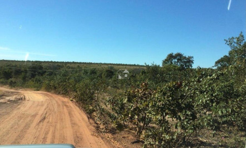Imagem 12 de 20 de Fazenda Em Jalapão - 2648